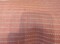 1 Yard Trail Blush Pink Stripe Sunbrella Upholstery Fabric Multipurpose 54 Inch Width